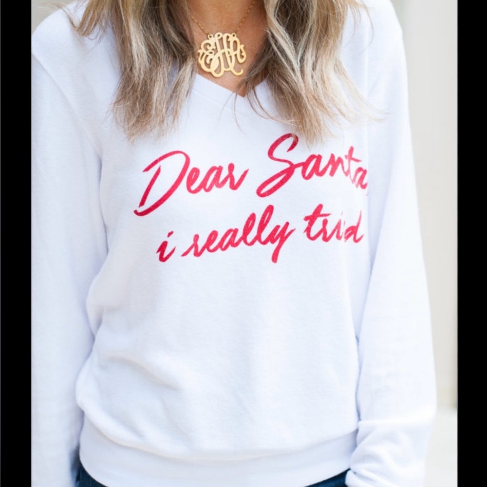 Wildfox Dear Santa Sweater